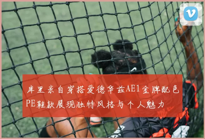 库里亲自穿搭爱德华兹AE1金牌配色PE鞋款展现独特风格与个人魅力
